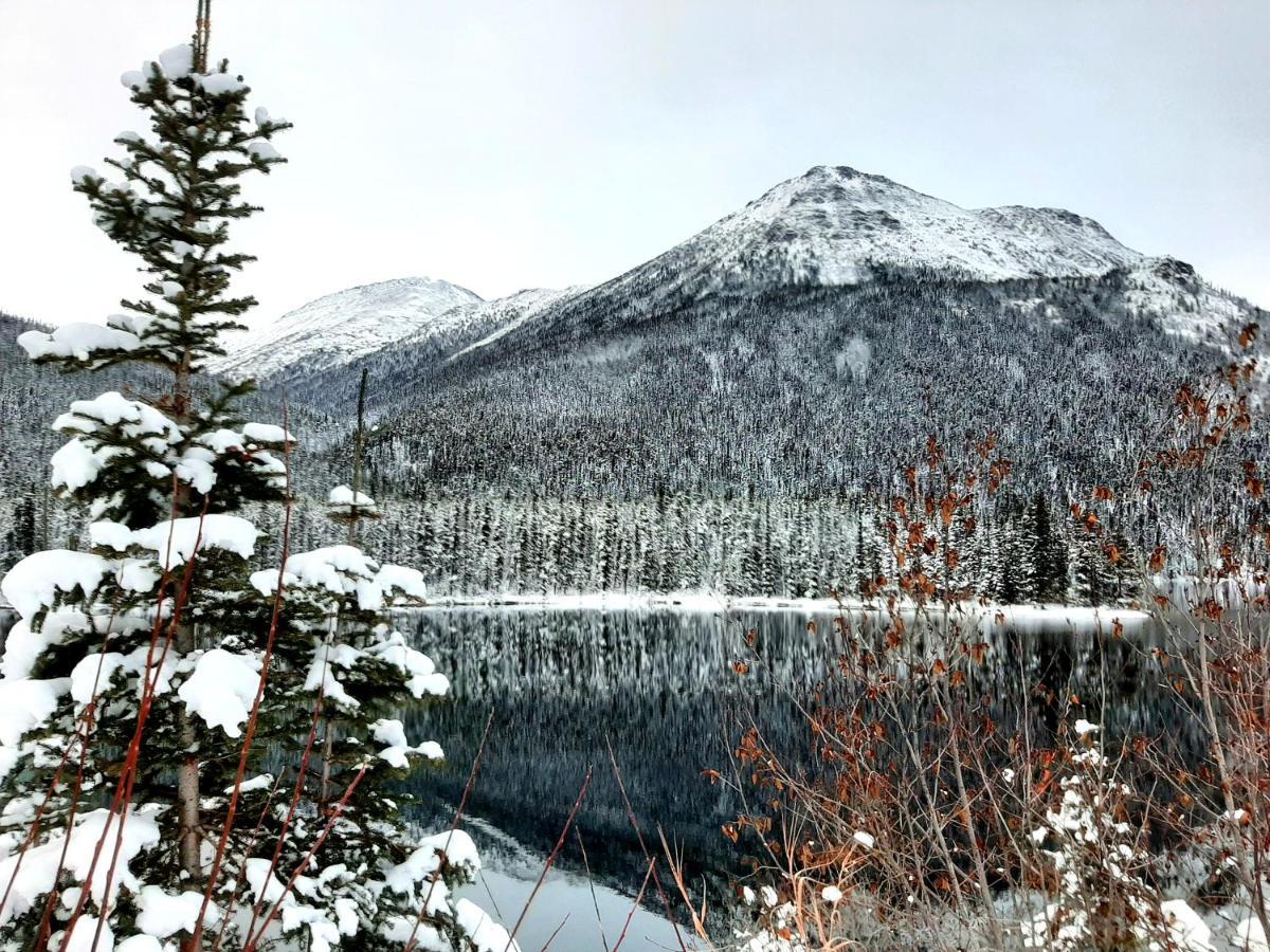 Arctic Divide Lodge Dease Lake Extérieur photo